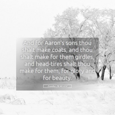 Picture 05 - Exodus 28:40 ASV - And for Aaron's sons thou shalt make coats, and - Bible Verse Picture