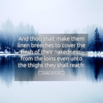 Picture 05 - Exodus 28:42 ASV - And thou shalt make them linen breeches to cover - Bible Verse Picture