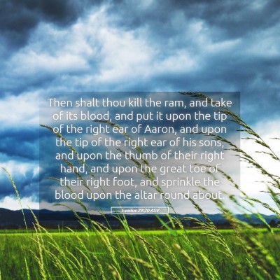 Picture 05 - Exodus 29:20 ASV - Then shalt thou kill the ram, and take of its - Bible Verse Picture