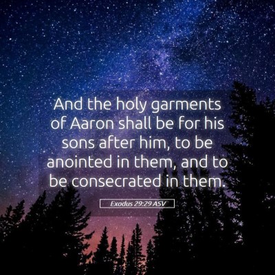 Picture 05 - Exodus 29:29 ASV - And the holy garments of Aaron shall be for his - Bible Verse Picture