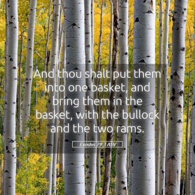 Picture 05 - Exodus 29:3 ASV - And thou shalt put them into one basket, and - Bible Verse Picture