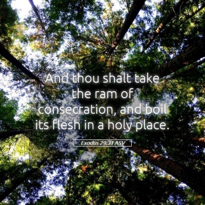Picture 05 - Exodus 29:31 ASV - And thou shalt take the ram of consecration, and - Bible Verse Picture