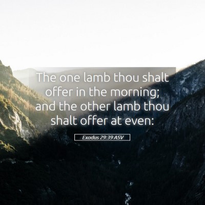Picture 05 - Exodus 29:39 ASV - The one lamb thou shalt offer in the morning; and - Bible Verse Picture