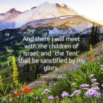 Picture 05 - Exodus 29:43 ASV - And there I will meet with the children of - Bible Verse Picture