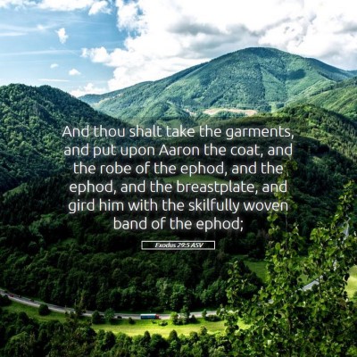 Picture 05 - Exodus 29:5 ASV - And thou shalt take the garments, and put upon - Bible Verse Picture