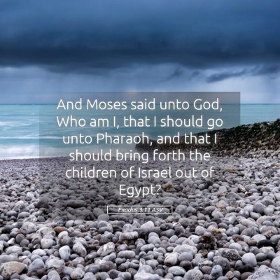 Picture 05 - Exodus 3:11 ASV - And Moses said unto God, Who am I, that I should - Bible Verse Picture