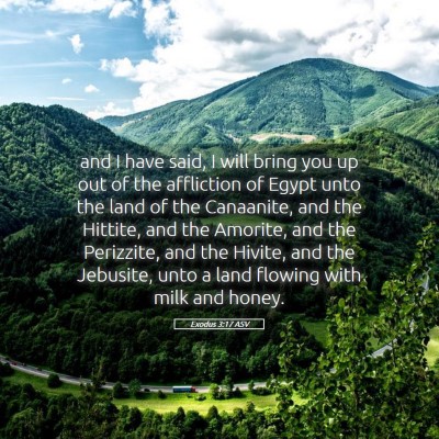 Picture 05 - Exodus 3:17 ASV - and I have said, I will bring you up out of the - Bible Verse Picture