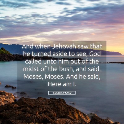Picture 05 - Exodus 3:4 ASV - And when Jehovah saw that he turned aside to see, - Bible Verse Picture