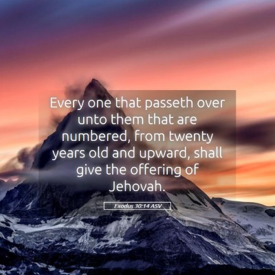 Picture 05 - Exodus 30:14 ASV - Every one that passeth over unto them that are - Bible Verse Picture