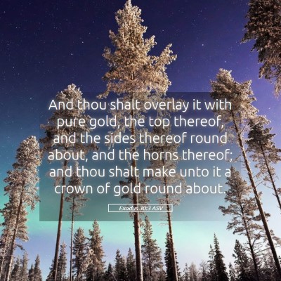 Picture 05 - Exodus 30:3 ASV - And thou shalt overlay it with pure gold, the top - Bible Verse Picture