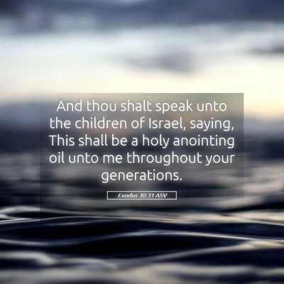 Picture 05 - Exodus 30:31 ASV - And thou shalt speak unto the children of Israel, - Bible Verse Picture
