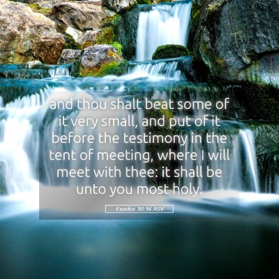 Picture 05 - Exodus 30:36 ASV - and thou shalt beat some of it very small, and - Bible Verse Picture