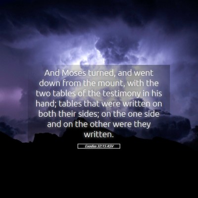 Picture 05 - Exodus 32:15 ASV - And Moses turned, and went down from the mount, - Bible Verse Picture