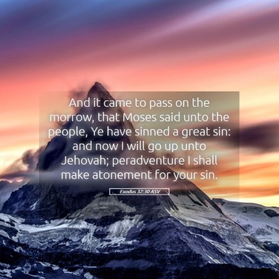 Picture 05 - Exodus 32:30 ASV - And it came to pass on the morrow, that Moses - Bible Verse Picture