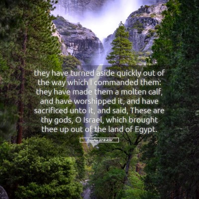 Picture 05 - Exodus 32:8 ASV - they have turned aside quickly out of the way - Bible Verse Picture