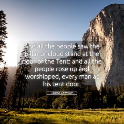 Picture 05 - Exodus 33:10 ASV - And all the people saw the pillar of cloud stand - Bible Verse Picture
