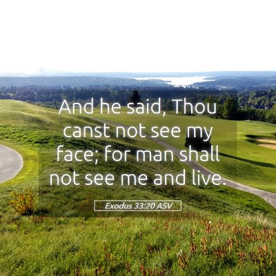 Picture 05 - Exodus 33:20 ASV - And he said, Thou canst not see my face; for man - Bible Verse Picture