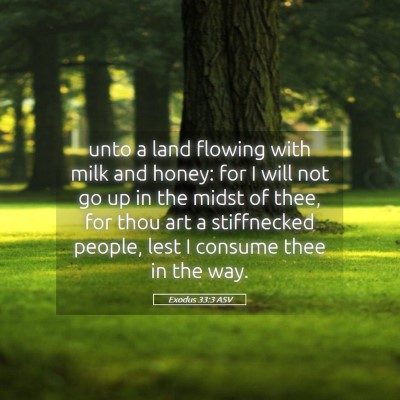 Picture 05 - Exodus 33:3 ASV - unto a land flowing with milk and honey: for I - Bible Verse Picture