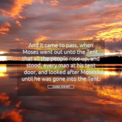 Picture 05 - Exodus 33:8 ASV - And it came to pass, when Moses went out unto the - Bible Verse Picture
