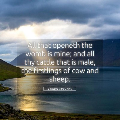 Picture 05 - Exodus 34:19 ASV - All that openeth the womb is mine; and all thy - Bible Verse Picture