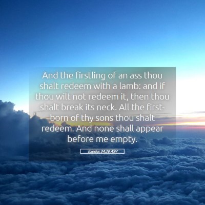 Picture 05 - Exodus 34:20 ASV - And the firstling of an ass thou shalt redeem - Bible Verse Picture