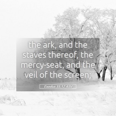 Picture 05 - Exodus 35:12 ASV - the ark, and the staves thereof, the mercy-seat, - Bible Verse Picture