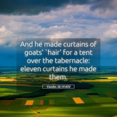 Picture 05 - Exodus 36:14 ASV - And he made curtains of goats' `hair' for a tent - Bible Verse Picture