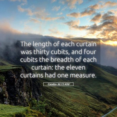 Picture 05 - Exodus 36:15 ASV - The length of each curtain was thirty cubits, and - Bible Verse Picture