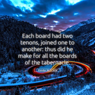 Picture 05 - Exodus 36:22 ASV - Each board had two tenons, joined one to another: - Bible Verse Picture