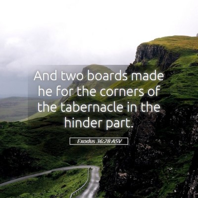Picture 05 - Exodus 36:28 ASV - And two boards made he for the corners of the - Bible Verse Picture