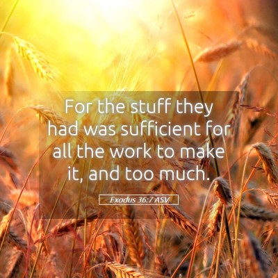 Picture 05 - Exodus 36:7 ASV - For the stuff they had was sufficient for all the - Bible Verse Picture