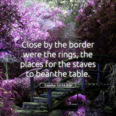 Picture 05 - Exodus 37:14 ASV - Close by the border were the rings, the places - Bible Verse Picture