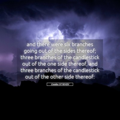 Picture 05 - Exodus 37:18 ASV - and there were six branches going out of the - Bible Verse Picture