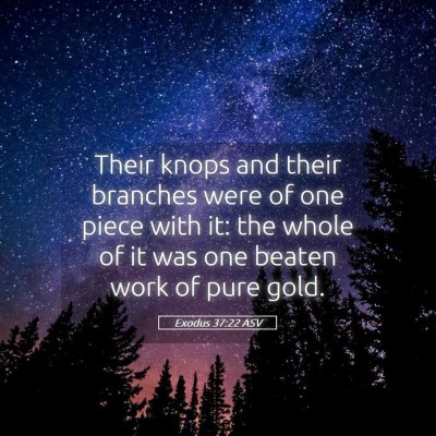 Picture 05 - Exodus 37:22 ASV - Their knops and their branches were of one piece - Bible Verse Picture