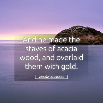 Picture 05 - Exodus 37:28 ASV - And he made the staves of acacia wood, and - Bible Verse Picture
