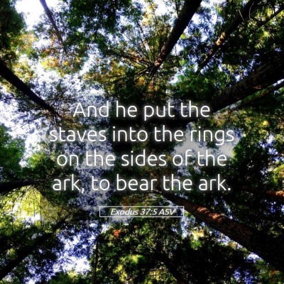 Picture 05 - Exodus 37:5 ASV - And he put the staves into the rings on the sides - Bible Verse Picture