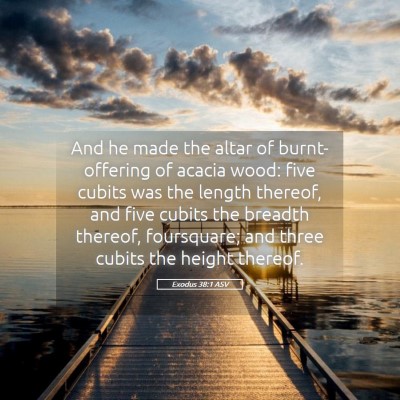 Picture 05 - Exodus 38:1 ASV - And he made the altar of burnt-offering of acacia - Bible Verse Picture