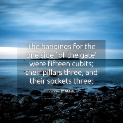 Picture 05 - Exodus 38:14 ASV - The hangings for the one side `of the gate' were - Bible Verse Picture