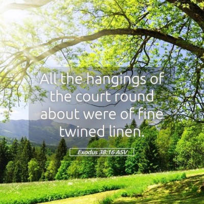 Picture 05 - Exodus 38:16 ASV - All the hangings of the court round about were of - Bible Verse Picture