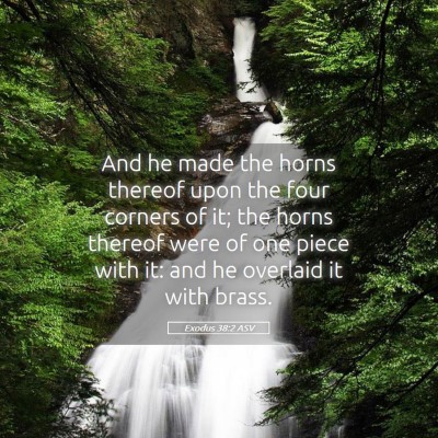Picture 05 - Exodus 38:2 ASV - And he made the horns thereof upon the four - Bible Verse Picture
