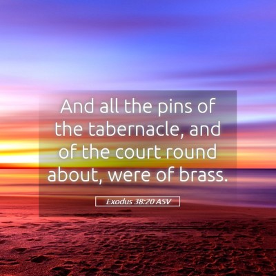 Picture 05 - Exodus 38:20 ASV - And all the pins of the tabernacle, and of the - Bible Verse Picture