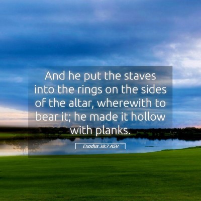 Picture 05 - Exodus 38:7 ASV - And he put the staves into the rings on the sides - Bible Verse Picture