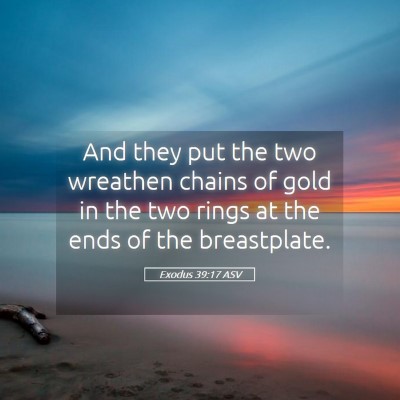 Picture 05 - Exodus 39:17 ASV - And they put the two wreathen chains of gold in - Bible Verse Picture