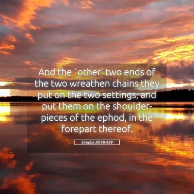 Picture 05 - Exodus 39:18 ASV - And the `other' two ends of the two wreathen - Bible Verse Picture