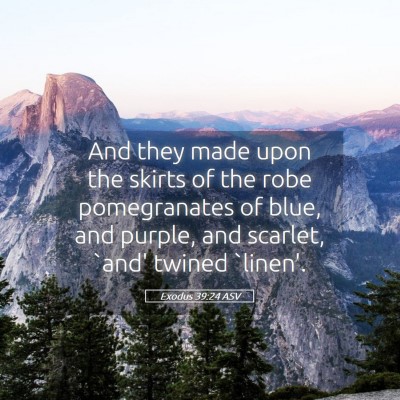Picture 05 - Exodus 39:24 ASV - And they made upon the skirts of the robe - Bible Verse Picture