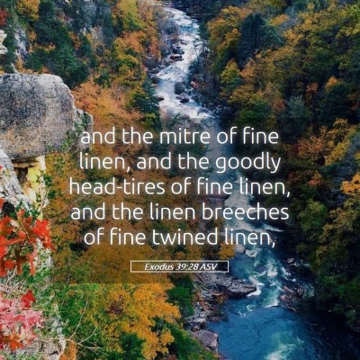Picture 05 - Exodus 39:28 ASV - and the mitre of fine linen, and the goodly - Bible Verse Picture