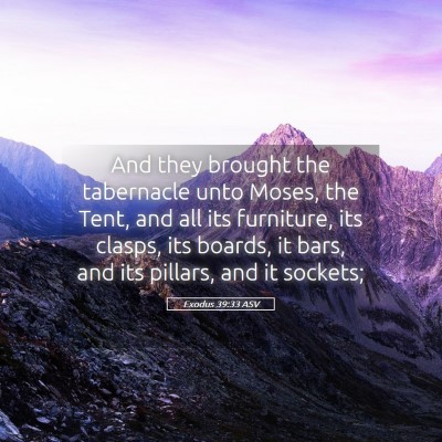 Picture 05 - Exodus 39:33 ASV - And they brought the tabernacle unto Moses, the - Bible Verse Picture