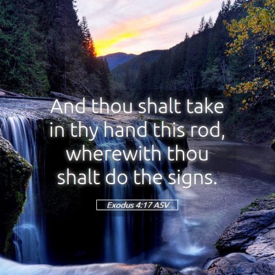 Picture 05 - Exodus 4:17 ASV - And thou shalt take in thy hand this rod, - Bible Verse Picture