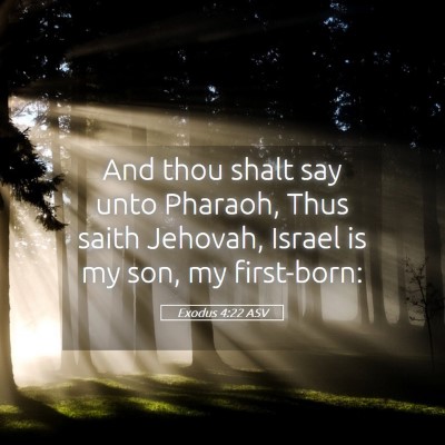 Picture 05 - Exodus 4:22 ASV - And thou shalt say unto Pharaoh, Thus saith - Bible Verse Picture