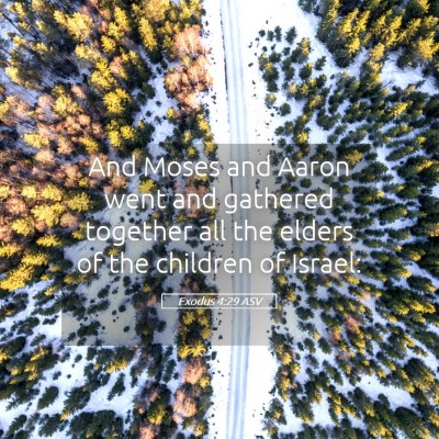 Picture 05 - Exodus 4:29 ASV - And Moses and Aaron went and gathered together - Bible Verse Picture
